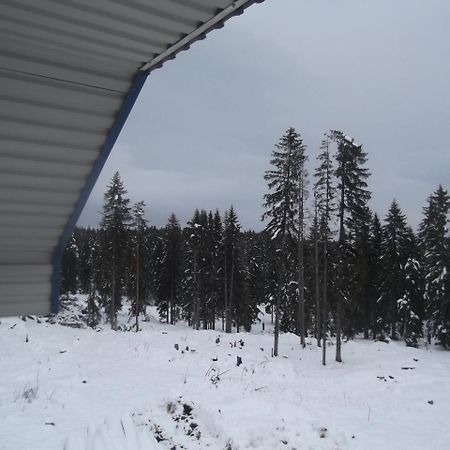 Apartman Lucija Žabljak Dış mekan fotoğraf